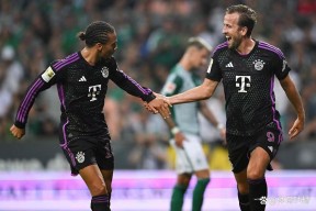 九游体育官方网站-乱花渐欲迷人眼下一句